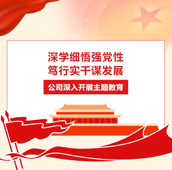 深學(xué)細悟強黨性 篤行實干謀發(fā)展 | 公司深入開展主題教育